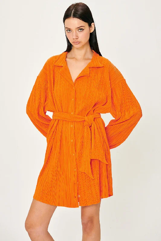 Single-shoulder Neck Design Sandra Plisse Shirt Dress