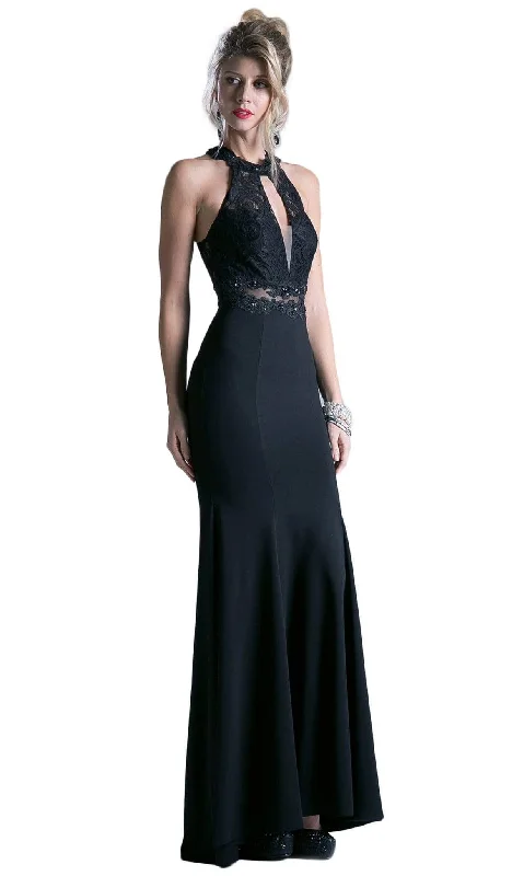 Sports litigation style Cinderella Divine CF102